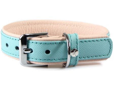 10% OFF S & M: Das Lederband Firenze Leather Dog Collar (Electric Blue Nude) on Sale