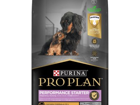 20% OFF: Pro Plan Performance Starter Puppies & Mothers Dry Dog Food 12kg For Discount