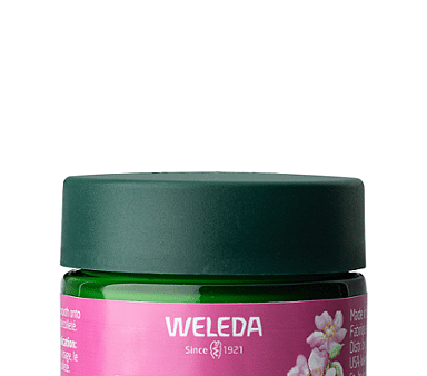 Weleda Smoothing Day Cream Wild Rose & White Tea 40ml Cheap