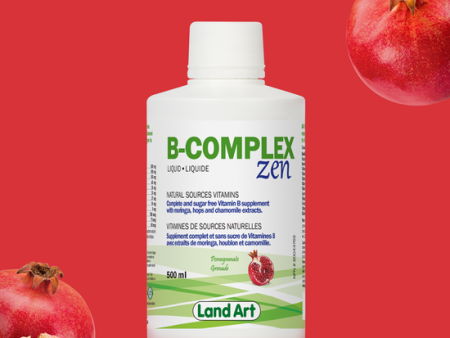 Land Art B-Complex Zen 500ml Fashion