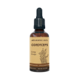 Harmonic Arts Cordyceps Mushroom Extract Tincture 100ml Online now