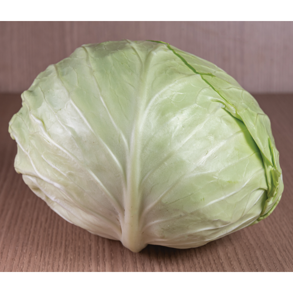 Pfenning s Organic Green Cabbage  10g Online Hot Sale