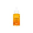 Derma E Vitamin C Glow Face Oil 30ml Fashion