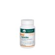 Genestra HMF Capsules (No FOS) 60 Capsules Sale