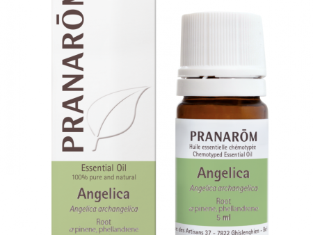 Pranarom 1--% Pure Chemotyped Angelica Essential Oil 5ml Online