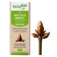 Herbal Gem G53 Aesculus Hippoc. 50ml Online Sale