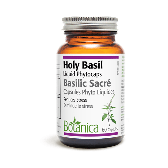 Botanica Holy Basil Liquid Phytocaps 60 Capsules Online now