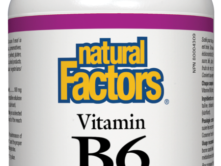 Natural Factors Vitamin B6 100mg 90 Tablets Pyridoxine For Cheap