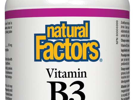 Natural Factors Vitamin B3 100mg 90 Tablets Nicotinic Acid Hot on Sale