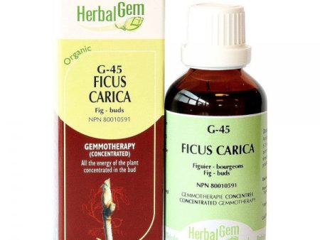 Herbal Gem G45 Ficus Carica 15mL Fashion