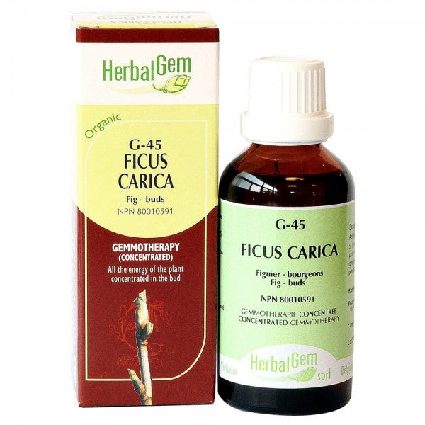 Herbal Gem G45 Ficus Carica 15mL Fashion