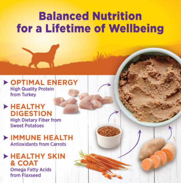 Wellness Complete Health Natural Turkey and Sweet Potato Recipe Wet Canned Dog Food Fashion