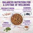 Wellness Complete Health Natural Small Breed Adult Turkey and Oatmeal Recipe Dry Dog Food Online