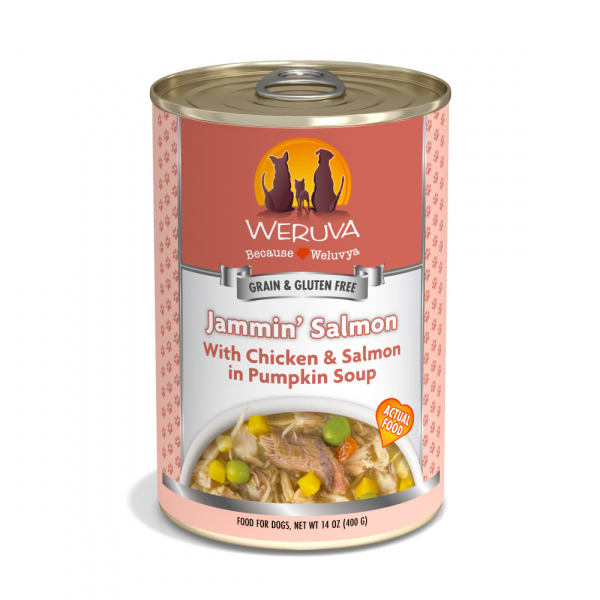 Weruva Jammin Salmon with Chicken & Salmon in Pumpkin Soup Canned Dog Food Sale