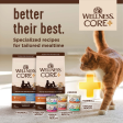 Wellness CORE Grain Free Natural Indoor Health Chicken and Turkey Recipe Dry Cat Food Hot on Sale