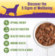 Wellness Natural Lamb and Beef Stew with Brown Rice and Apples Wet Canned Dog Food Discount